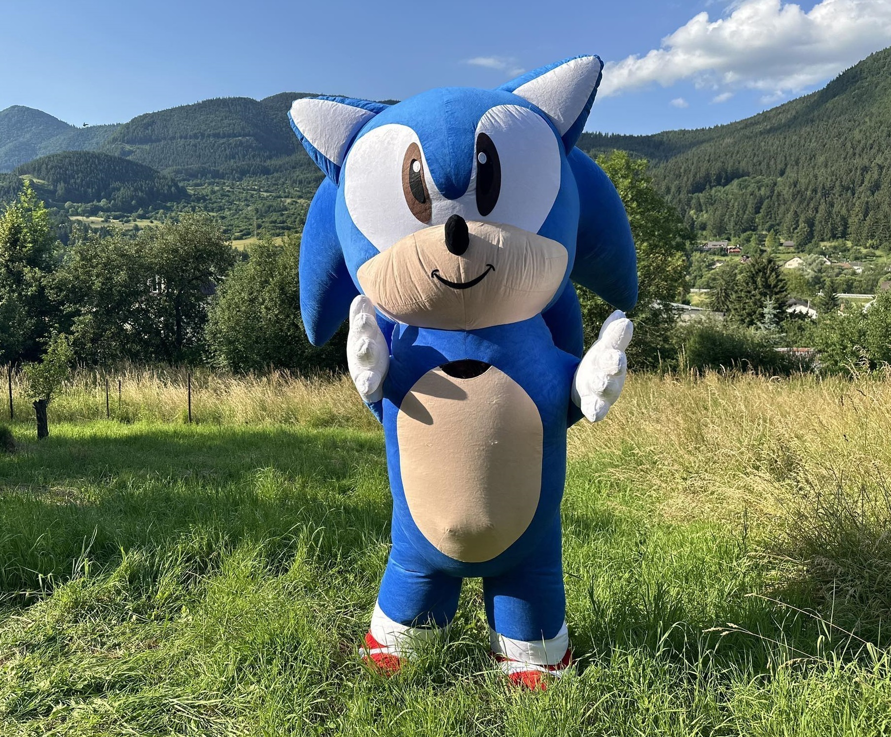 Ježko Sonic