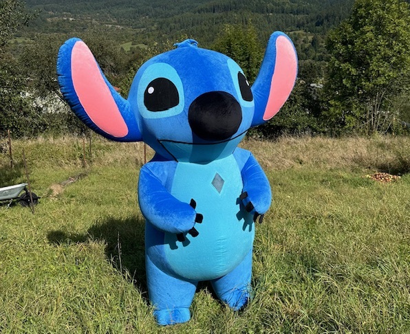 Stitch