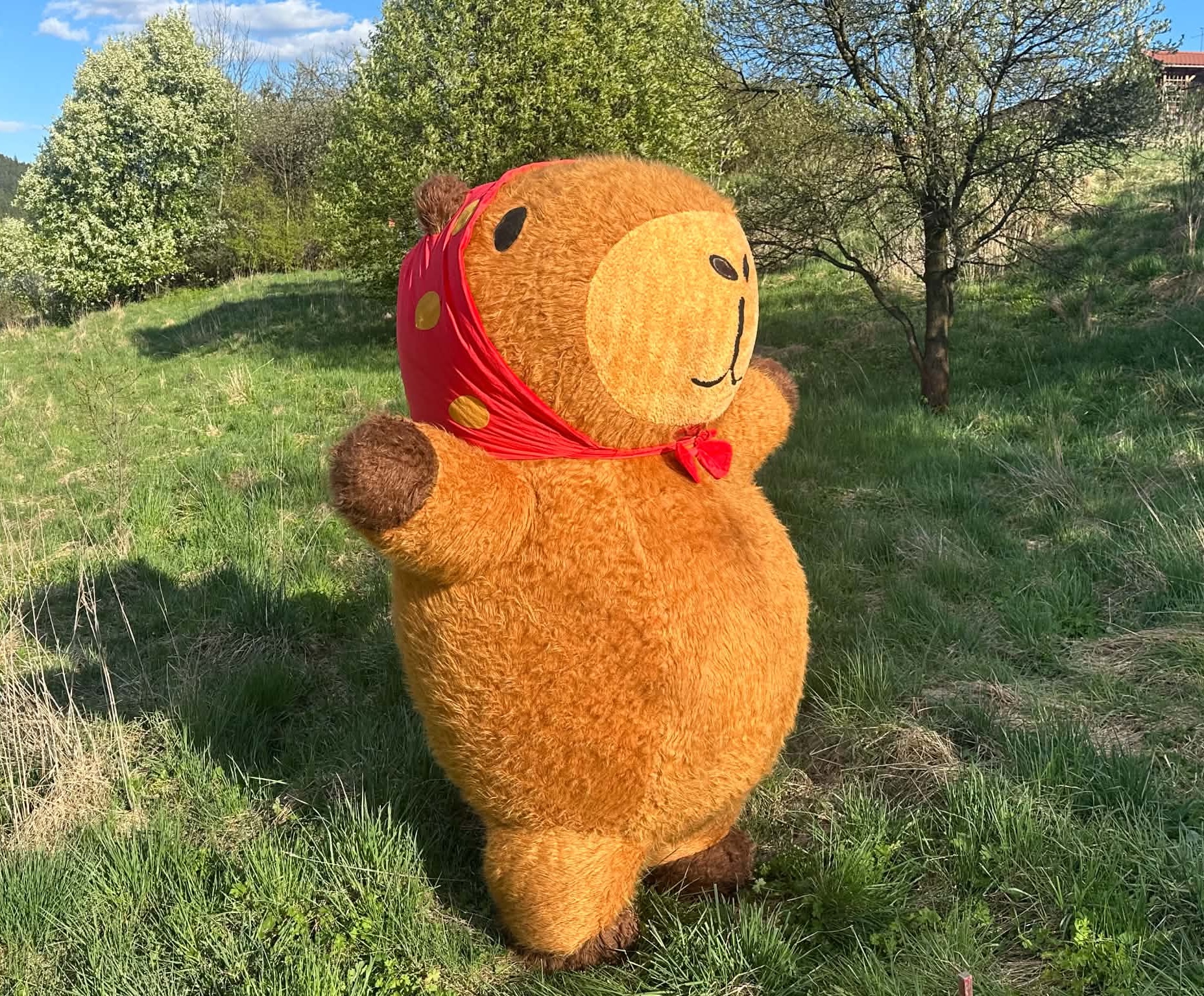 Capibara